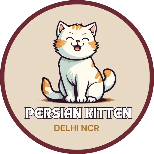 persian kitten delhi